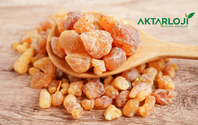 Arap Zamkı Tozu Hangi Hastalıklara İyi Gelir?  Ne İşe Yarar? (Akasya Sakızı)