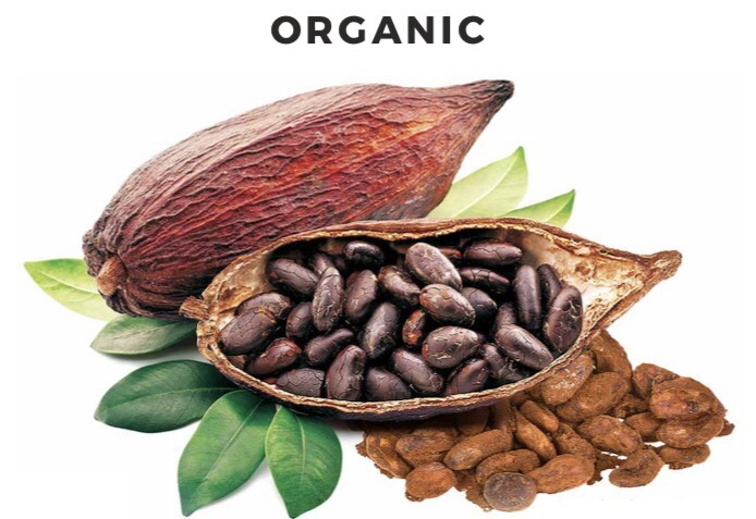 Kakao Çekirdeği Kullanım Alanları Nerelerdir?