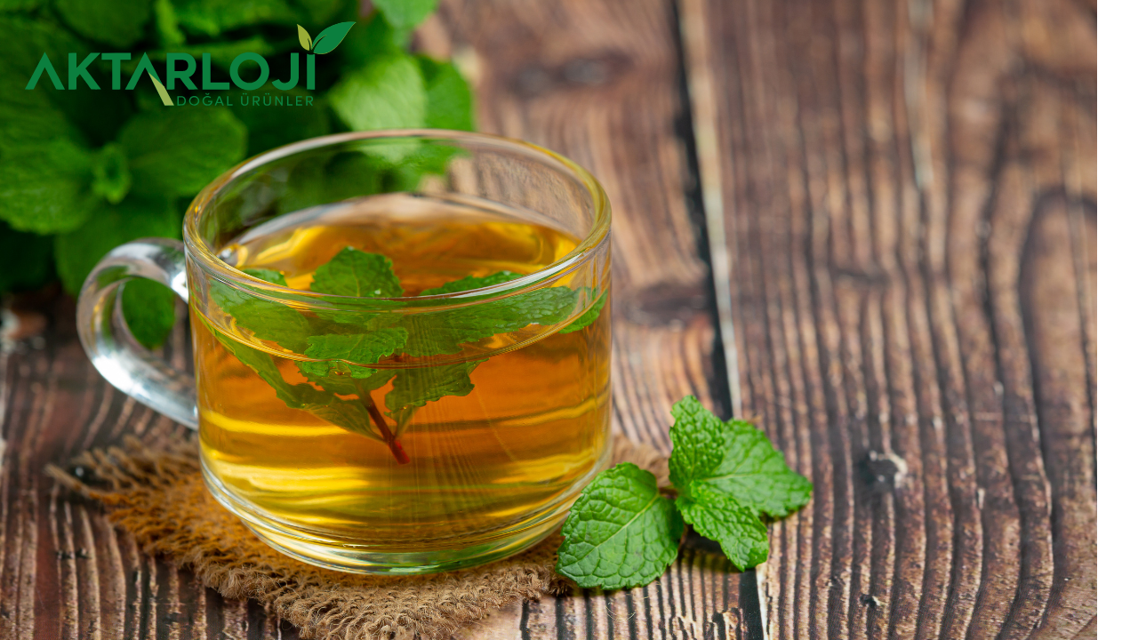 Melisa Çayı Uyku Yapar mı? Doğru Demleme Süresi ve Püf Noktaları