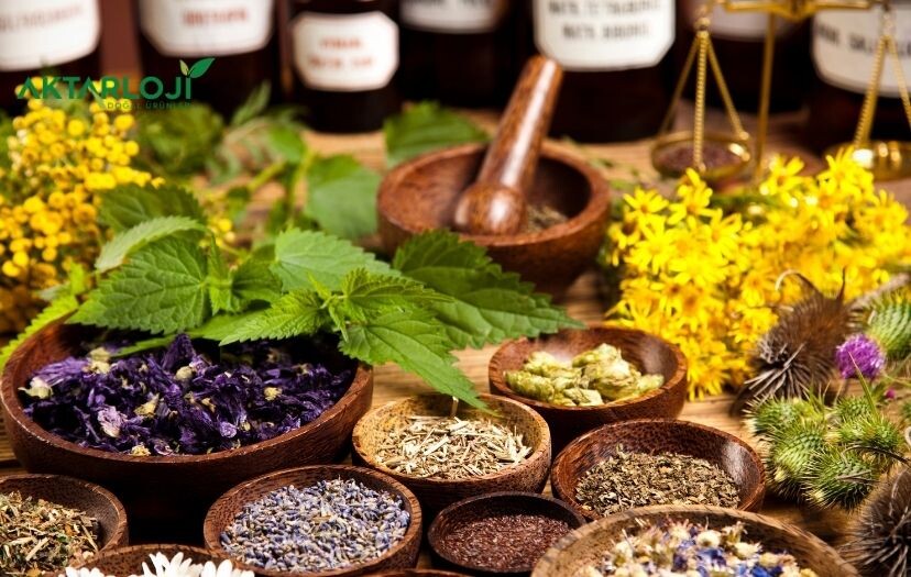 Karaciğeri Temizleyen Bitkiler Hangileri?