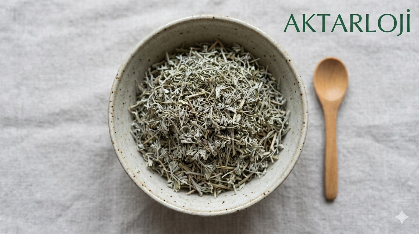 Şahtere Otu Zayıflatır mı: İçsel Bir Hafifleme Yolculuğu