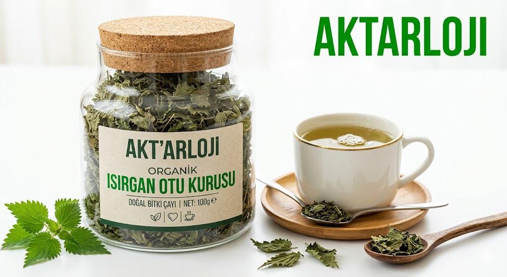 Isırgan Otu Kurusu Faydaları: Sporcu Sağlığı, Kadın Sağlığı ve Yaşlılıkta Modern Şifa 