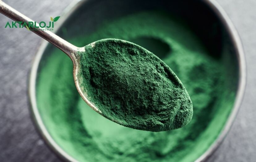Spirulina Nasıl Kullanılır? Spirulina Faydaları Nelerdir?