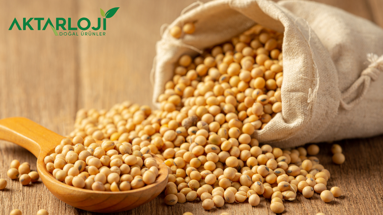 Soya Fasulyesi İle Lezzetli Tarifler