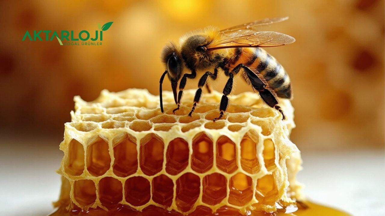 Arı Sütü Faydaları Nelerdir?