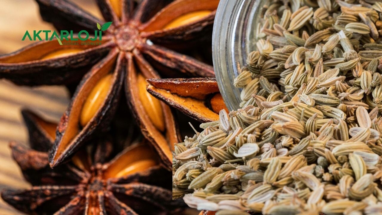 Anason ve Rezene Aynı Şey mi?