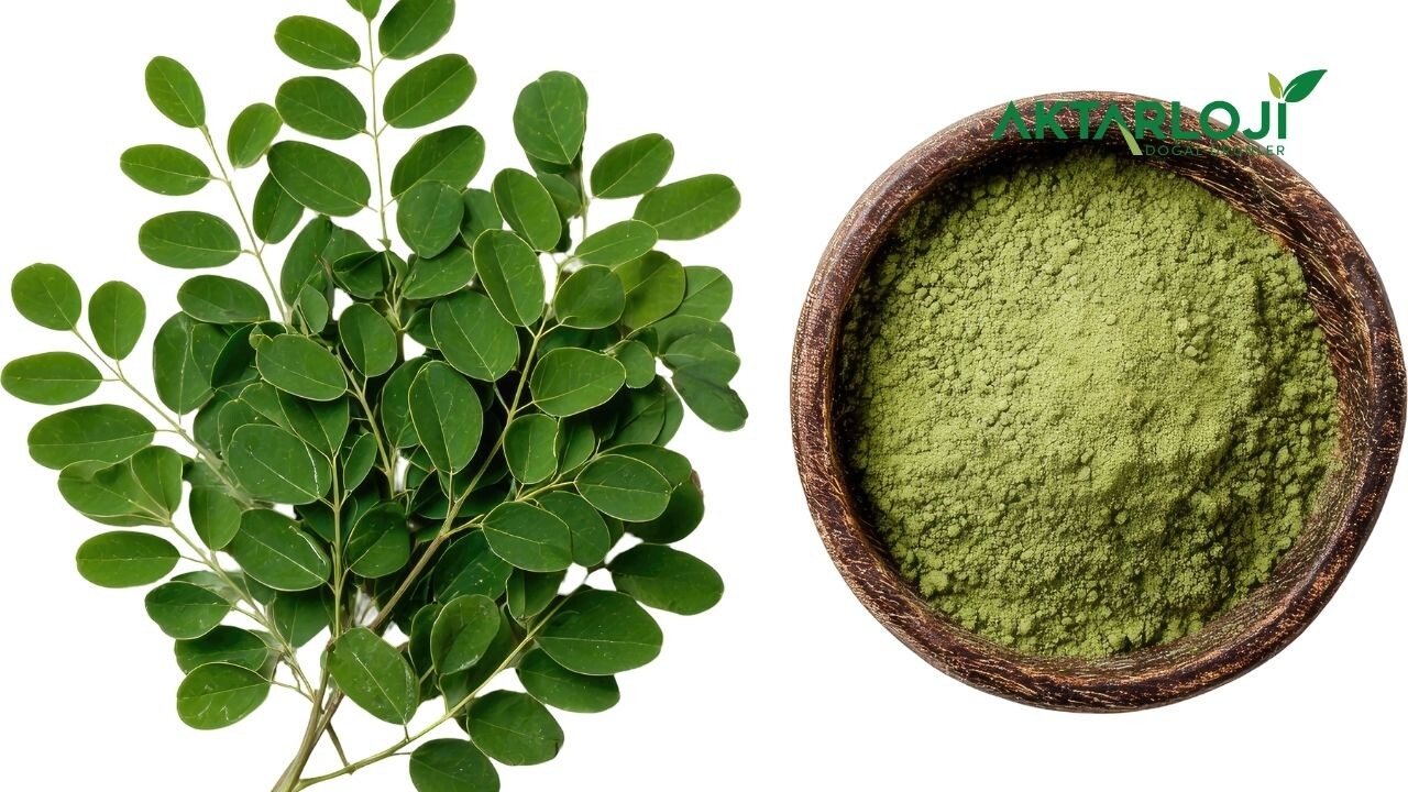 Moringa Tozu Nedir? Moringa Ne İşe Yarar?