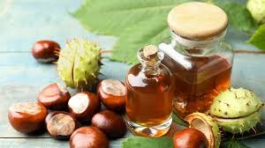 At Kestanesi Nedir Faydaları Nelerdir? 