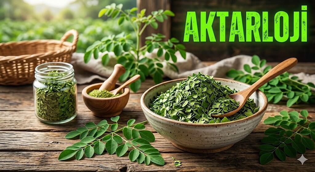 Enerjiniz Zirve Yapsın: Moringa Yaprağı