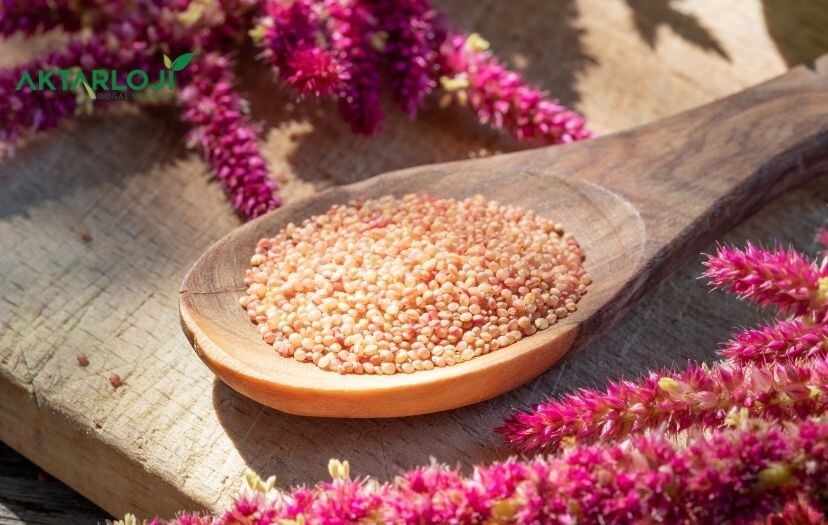 Amarant Tohumu Nasıl Tüketilir? Amarant Tohumu Faydaları