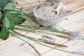 Glutensiz Karnıyarık Otu Tohumu Tozu - Psyllium Husk Powder Nedir? Faydaları Nelerdir?