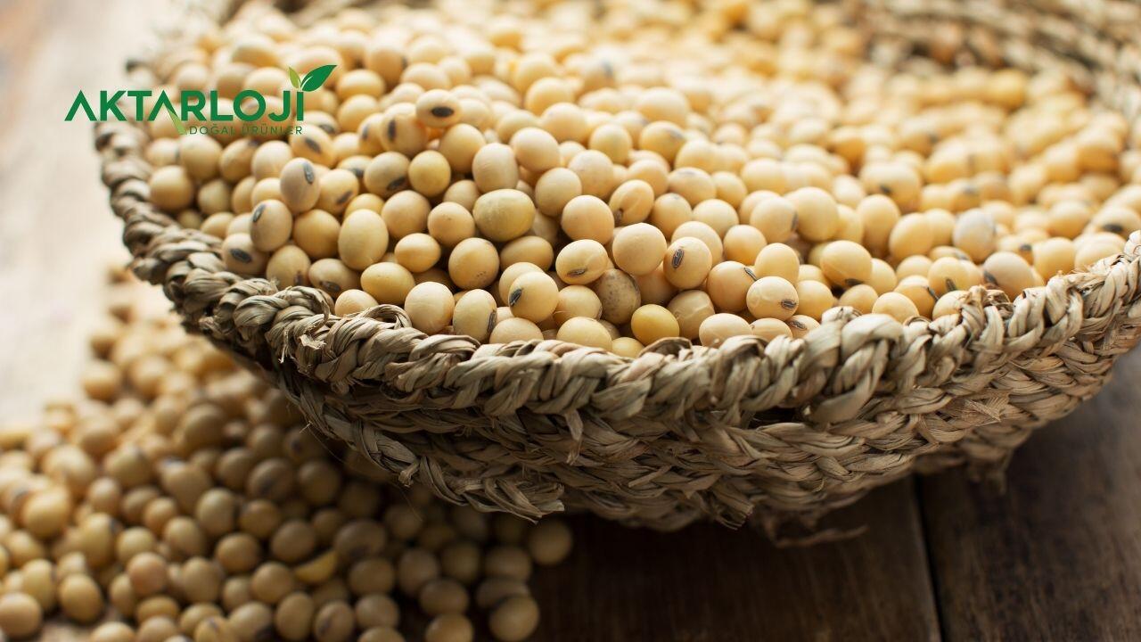 Soya Kıyması Sağlıklı mı?