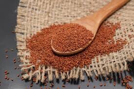 Tere Tohumu Nedir? Ne İşe Yarar? 