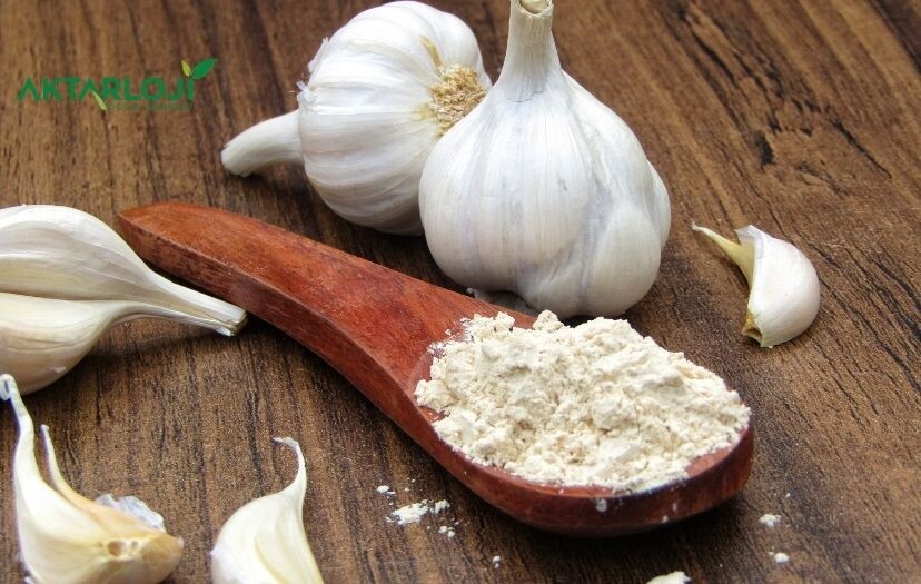 Sarımsak Tozu Nedir, Nasıl Kullanılır? Sarımsak Tozu Neye İyi Gelir?