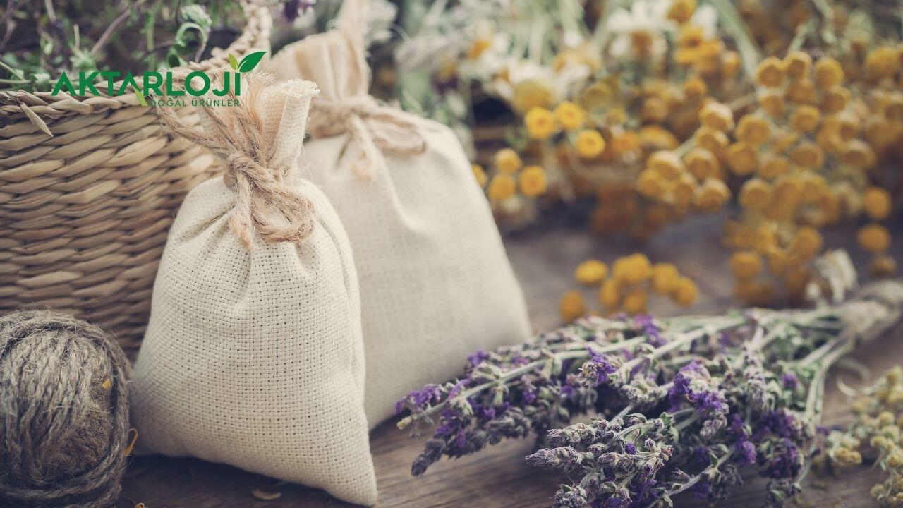 Tıbbi ve Aromatik Bitkiler Nelerdir? Tıbbi ve Aromatik Bitki Çeşitleri