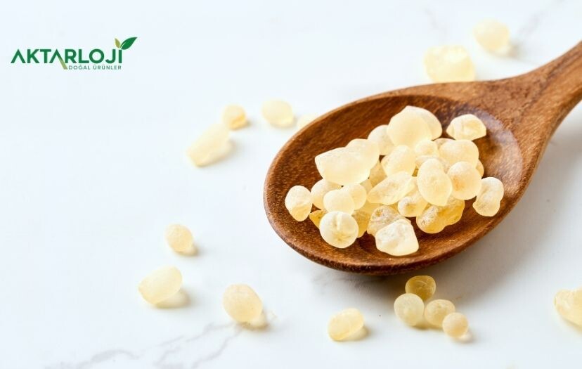 Damla Sakızı Kullanım Alanları