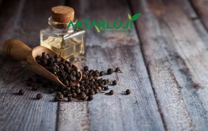 Kebabiye Faydaları Nelerdir? Kebabiye Neye İyi Gelir?