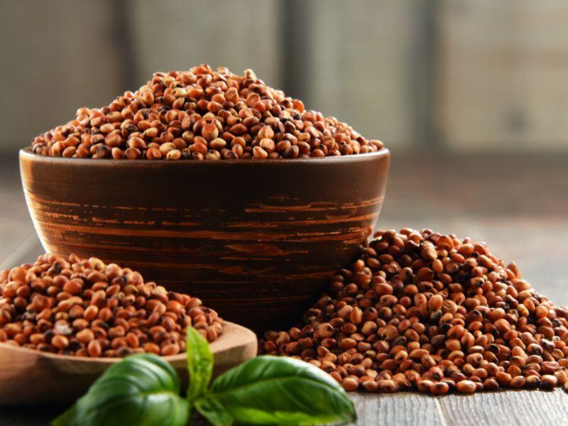 Glutensiz Kırmızı Sorgum Tohumu İle Harika Lezzetler