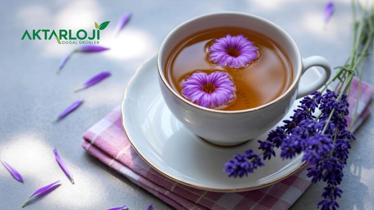 Lavanta Bitki Çayı Neye İyi Gelir?