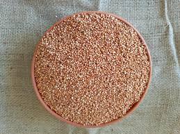 Glutensiz Kırmızı Sorgum Tohumu Nedir? Ne İşe Yarar? 