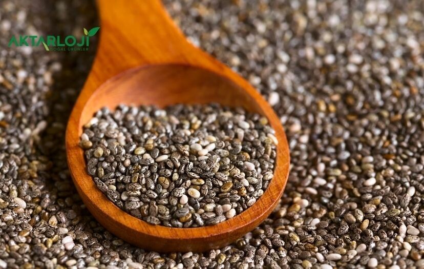 Chia Unu Nasıl Kullanılır? Chia Tohumu Unu Neye İyi Gelir?