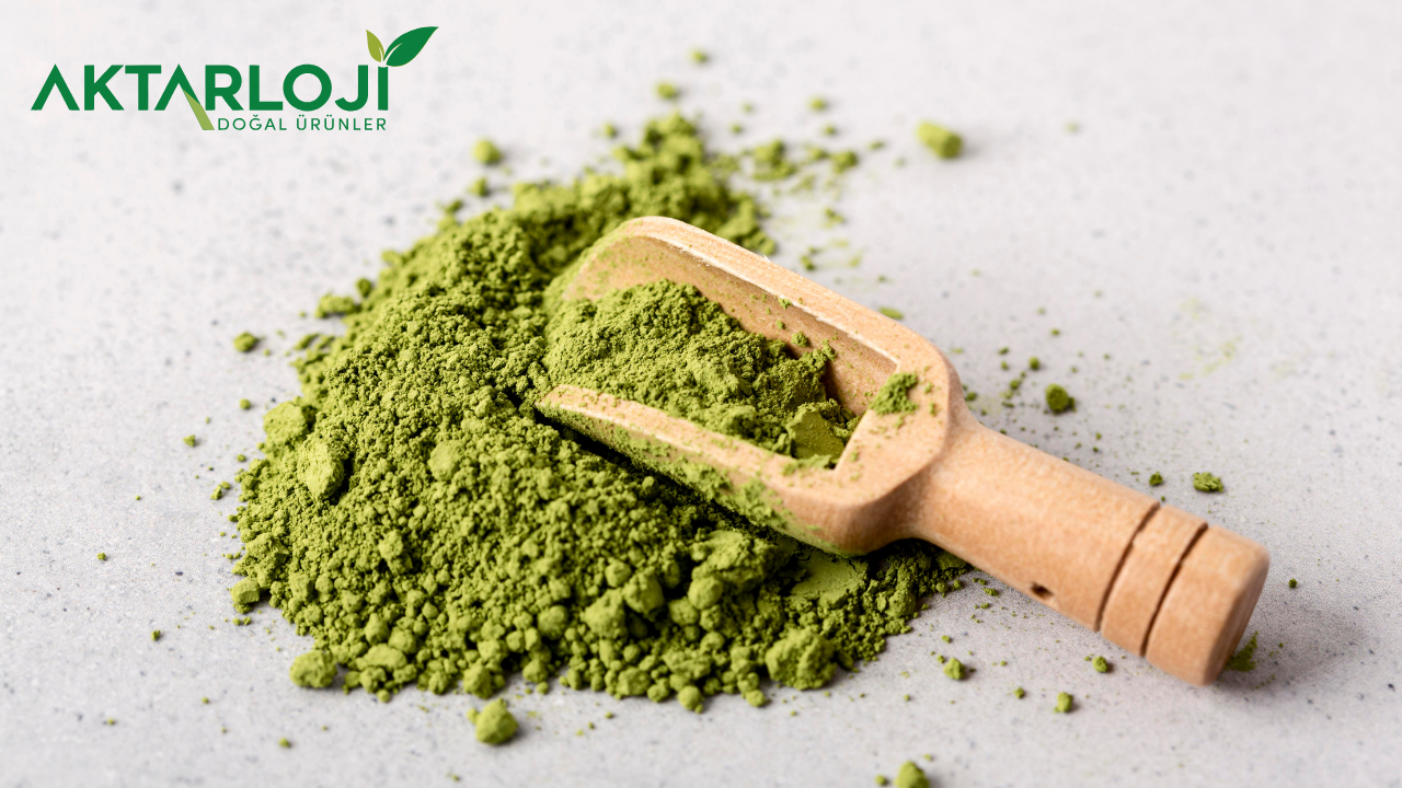 Moringa Tozu Boy Uzatır mı?