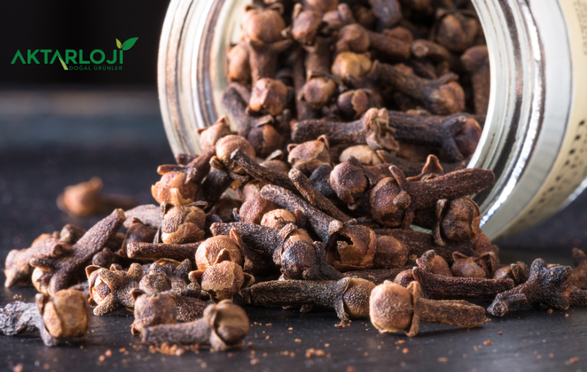 Karanfil Faydaları Nelerdir? Karanfil Neye İyi Gelir?