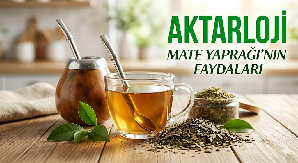 Yeşil Enerji İksiri Mate Yaprağı İle Sağlıklı Bir Yaşama Adım Atın