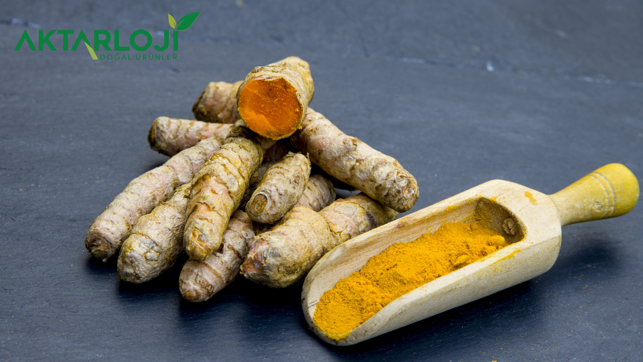 Tane Zerdeçal Faydaları Nelerdir? Mucizevi Kök Hakkında Her Şey