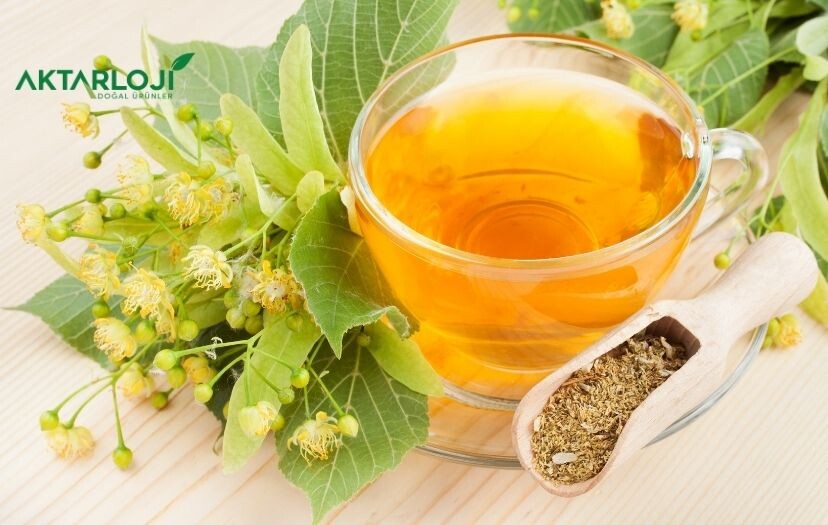 Ihlamur Çayı Neye İyi Gelir?