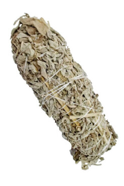 Adaçayı Bağ ( Çalba ) - Aktarloji