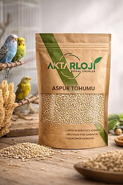 Aspur Tohumu / Kanarya Yemi - 2