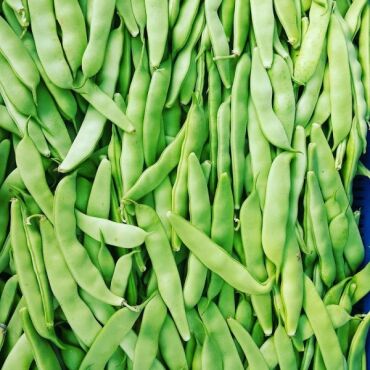 Ayşe Kadın Fasulye Tohumu - Aktarloji