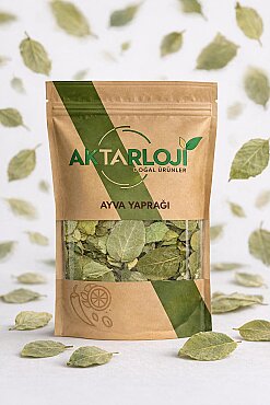 Ayva Yaprağı - 4