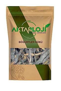 Böğürtlen Kökü - 2