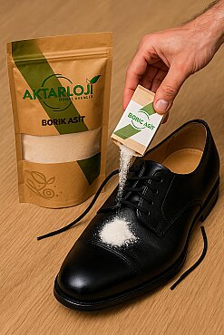 Borik Asit - 2