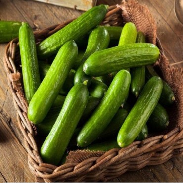 Çengelköy Salatalık Tohumu - Aktarloji