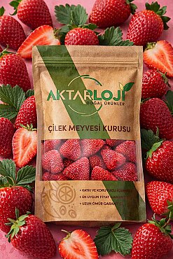 Çilek Meyvesi Kurusu - 7