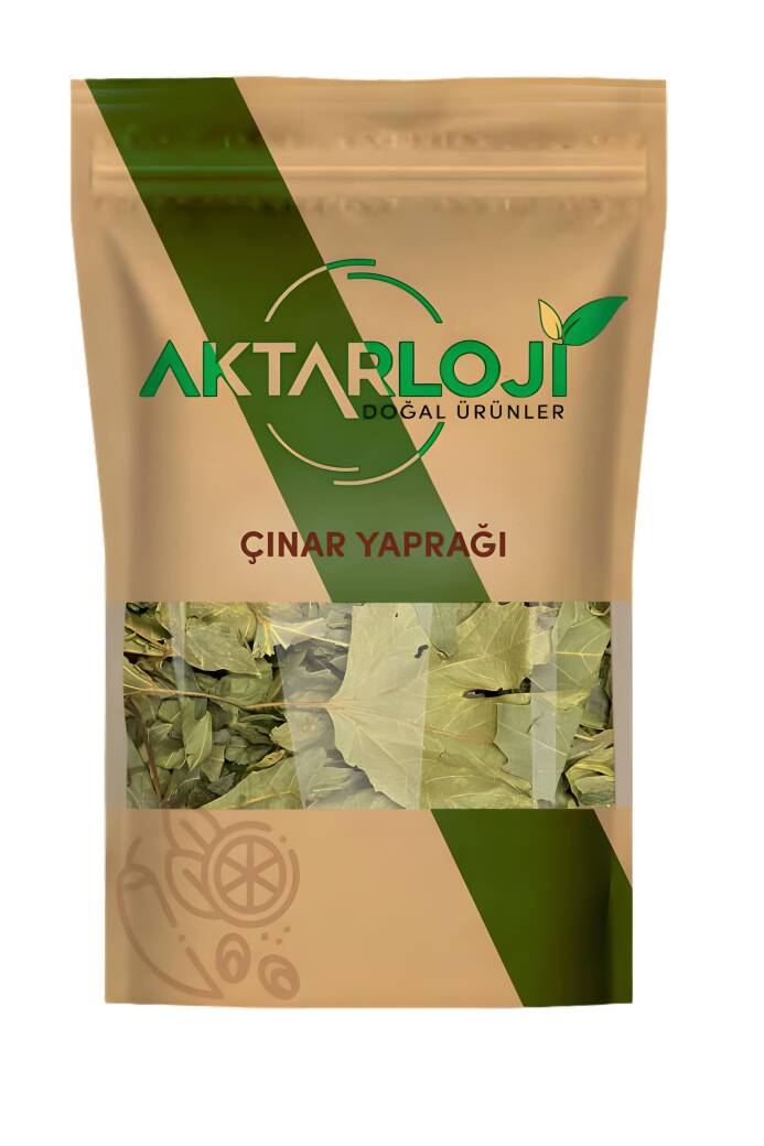 Çınar Yaprağı - 2