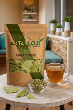 Çınar Yaprağı - 3