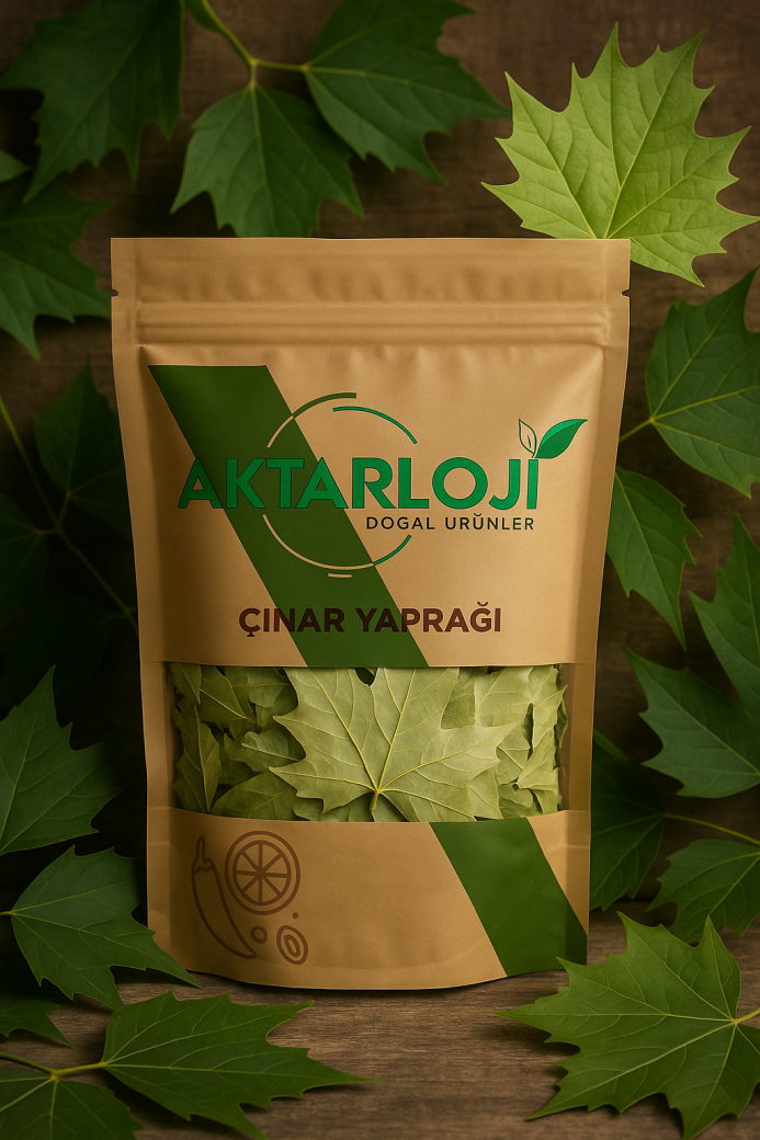 Çınar Yaprağı - 4