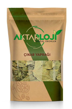 Çınar Yaprağı - Aktarloji