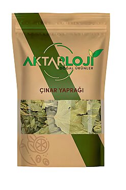 Çınar Yaprağı - 2