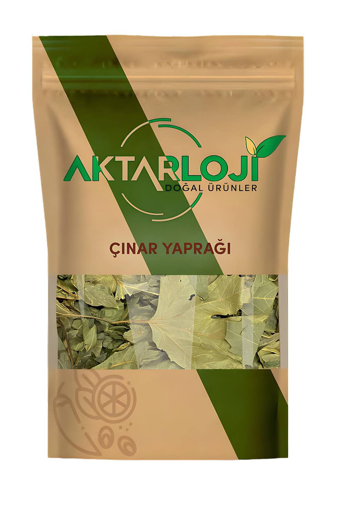Çınar Yaprağı - 2