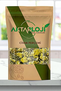 Civan Perçemi Otu - 1