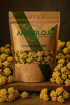 Civan Perçemi Otu - 3