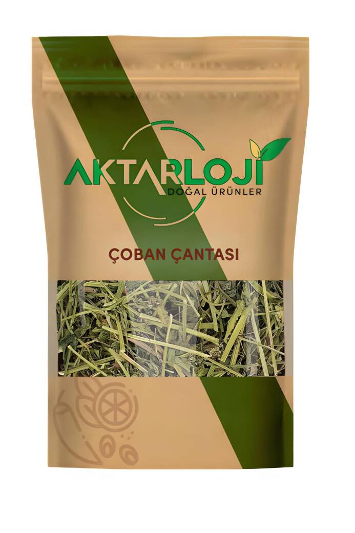 Çoban Çantası Otu - 2