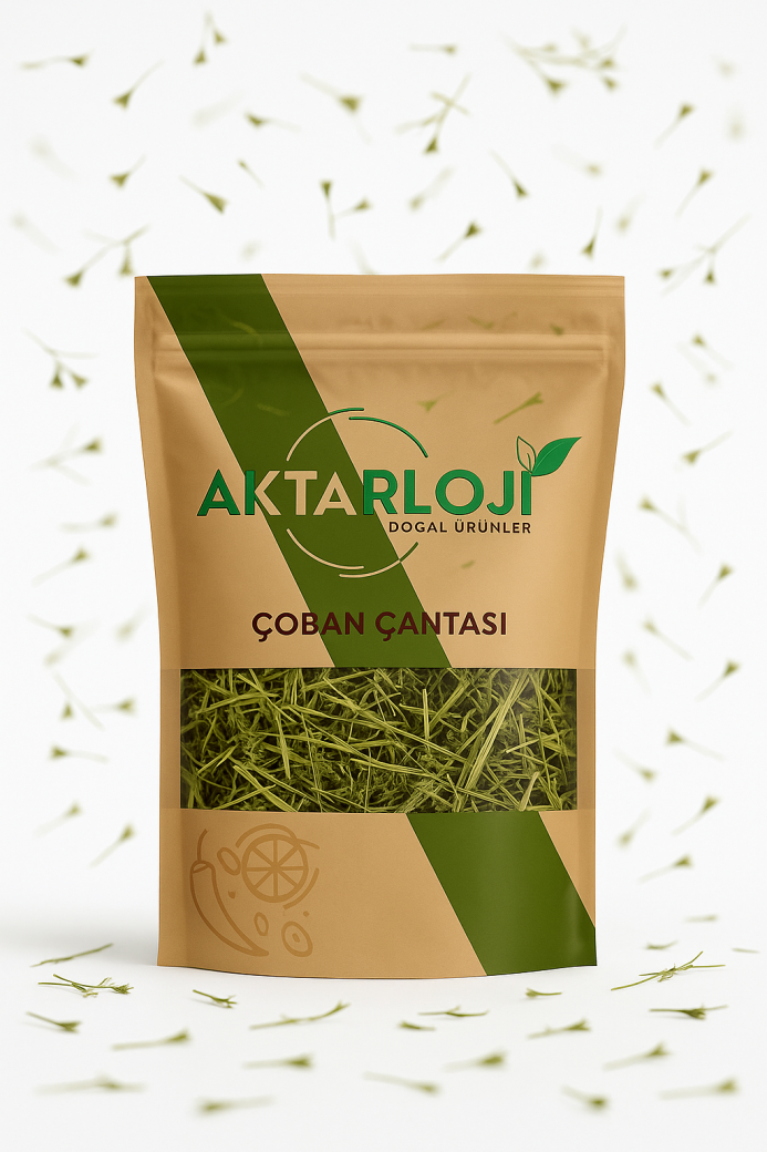 Çoban Çantası Otu - 4