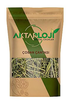 Çoban Çantası Otu - 3