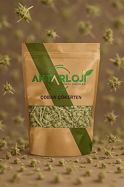 Çoban Çökerten Otu ( Demir Dikeni - Tribulus Terrestris ) - 6